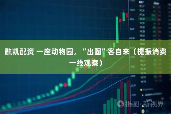 融凯配资 一座动物园，“出圈”客自来（提振消费一线观察）