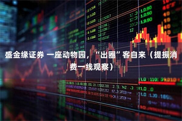 盛金缘证券 一座动物园，“出圈”客自来（提振消费一线观察）