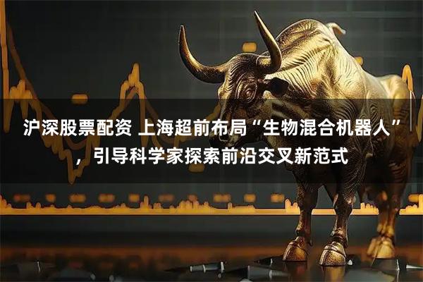 沪深股票配资 上海超前布局“生物混合机器人”，引导科学家探索前沿交叉新范式