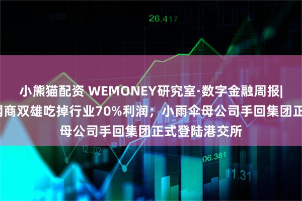 小熊猫配资 WEMONEY研究室·数字金融周报|2024年微众网商双雄吃掉行业70%利润；小雨伞母公司手回集团正式登陆港交所