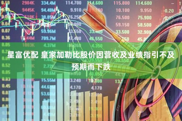 星富优配 皇家加勒比股价因营收及业绩指引不及预期而下跌