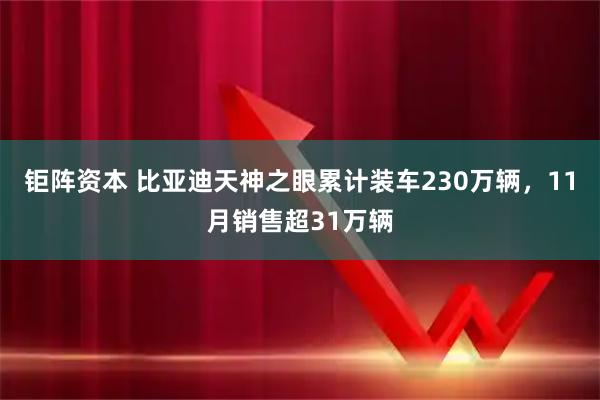 钜阵资本 比亚迪天神之眼累计装车230万辆，11月销售超31万辆