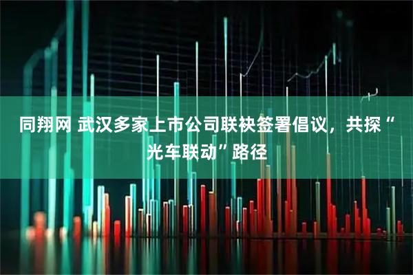 同翔网 武汉多家上市公司联袂签署倡议，共探“光车联动”路径